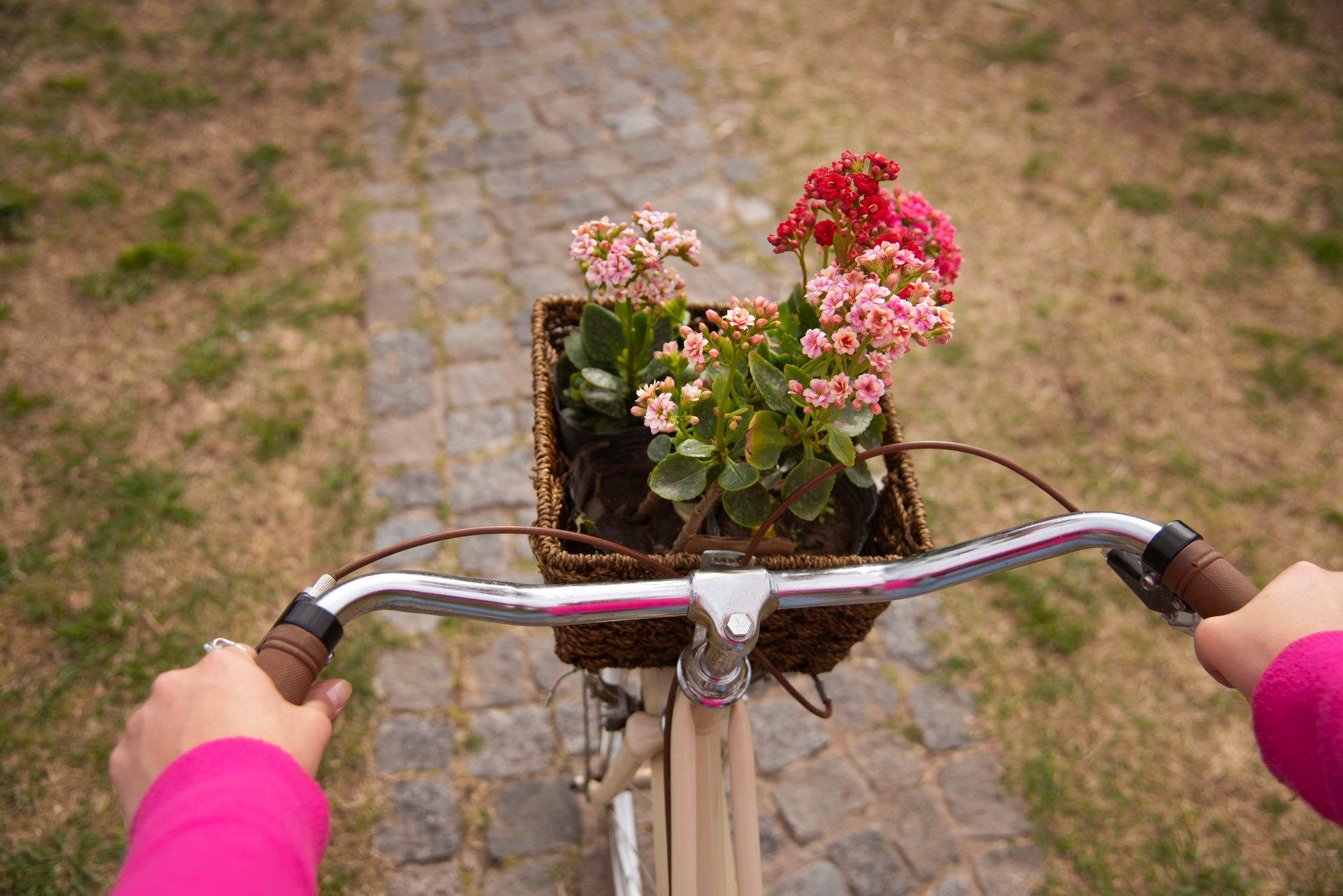 Fahrradpflege